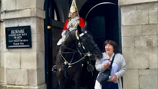 BITTEN, SCREAMED IN PAIN! tourist messed with the wrong king’s Horse