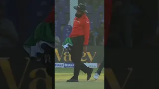 Naseem Shah hits Aleem Dar 🤣. #pakvsnz #funny