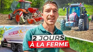 SEMIS DE TOURNESOL ! PULVÉ ET BROYAGE DE LUZERNE