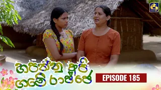 HAPANNU API GAME RAJJE || Episode 185 || හපන්නු අපි ගමේ රාජ්ජෙ || 28th May 2024