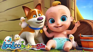 Bayi Joni dan hewan teman | Kompilasi Lagu Anak Anak | LooLoo Indonesia