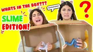 WHAT'S IN THE BOX CHALLENGE | SLIME EDITION | Slimeatory #128
