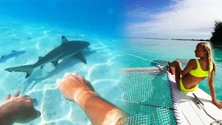 SWIMMING WITH SHARKS (Mo'orea Tahiti Vlog)