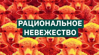 Дефекты демократии - рациональное невежество | Михаил Пожарский