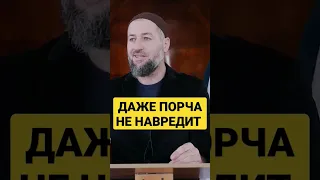 ДАЖЕ ПОРЧА НЕ НАВРЕДИТ!