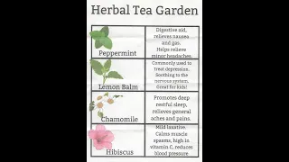 Building an Herbal Tea Garden