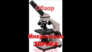 Обзор микроскопа Эврика