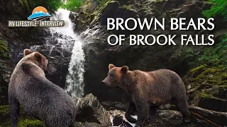 The Brown Bears of Alaska's Brooks Falls