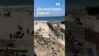 ¡Hasta Firulais cruzó! | Migrantes aprovecharon para cruzar el muro fronterizo en playas de Tijuana