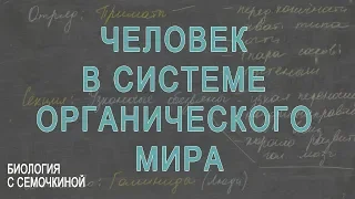 Человек в системе органического мира