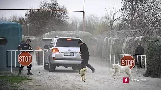 ტატუნაშვილის ცხედრის ექსპერტიზა