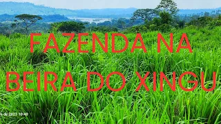 Fazenda na beira do Rio xingu.  um sonho de de muita gente