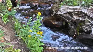 8 HOURS Relaxing Nature Sounds - Gentle Mountain Stream - Meditation-White Noise