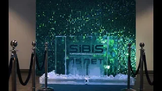 День рождения компании SI BIS — 15 лет