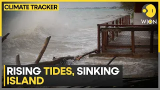 Election result postponed in Tuvalu due to dangerous weather | WION Climate Tracker