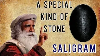 Sadhguru - Saligram is a micro cosmos in its own way.