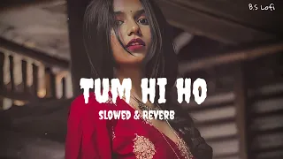 Meri aashiqui ab tum hi ho,female version,aashiqui 2, slowed and reverb//B.S Lofi