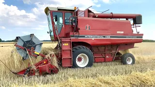 A Rare Classic: International 1460 Axial Flow Combine (4K)