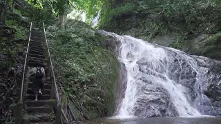 Homestay Chiang Mai - Mae Kampong Village - Flight of the Gibbon