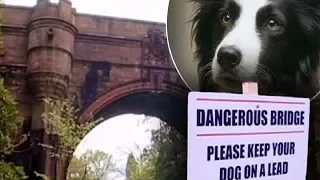 This Creepy Bridge Mysteriously Causes Dogs To Leap To Their Deaths