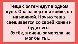 Теща с Зятем Едут в Одном Купе! Сборник Свежих Смешных Жизненных Анекдотов!