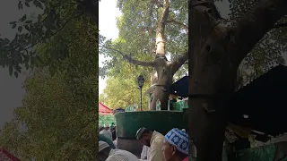 Sabir Pak ki bargah mein jumma ki ajaan