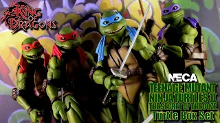 NECA: Teenage Mutant Ninja Turtles 2: Secrets of the Ooze | Turtles Box Set Review