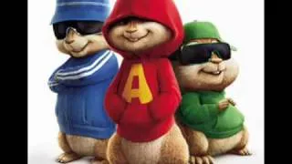 Florida Right Round Chipmunks