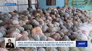 Mga magsasaka ng kalabasa sa Nueva Ecija, umaaray sa sobrang baba ng presyo nito | Saksi