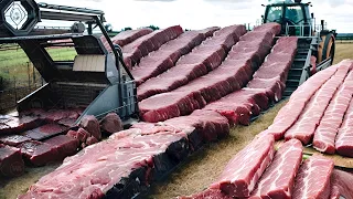 Как Нидерланды Производят Тонны Мяса, но при Это Не Убивают Животных?