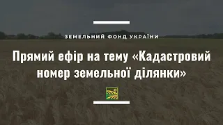 Кадастровий номер земельної ділянки//ЗФУ