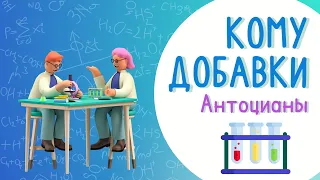 Рубрика "Кому добавки". Антоцианы