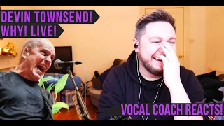 Vocal Coach Reacts! Devin Townsend! Why! Live!