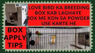 Breeding season 2022 & 2023 | Breeding Boxes | complete instructions for box installation | box tips