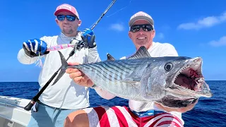 Atlantic Bonito Catch Clean & Cook (Slow Pitch Jigging)