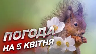 🌞 Погода на 5 квітня: коли прийде справжня весна?