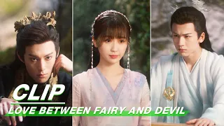 When They Went From "Brothers" Back to Love Rivals | Love Between Fairy and Devil EP26 | 苍兰诀 | iQIYI