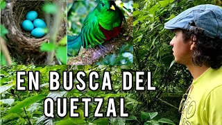 En busca del Quetzal, parte "2" 🇬🇹 🌎 #guatemala #viral #bosque