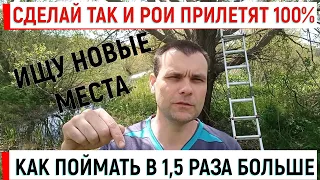 Как поймать в 1,5 раза больше роев. Сделай так и результат 100% Поиск новых мест.