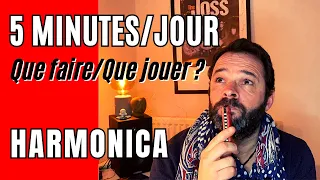 5 Minutes d'Harmonica par Jour - Que Faire ?