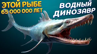 ДИНОЗАВР РЫБА КОТОРОМУ 65 000 000 ЛЕТ ( Feed and Grow: Fish )