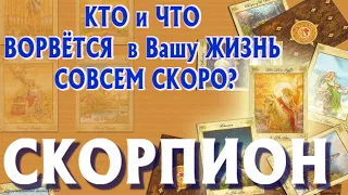 СКОРПИОН ❤️‍🔥 КТО и ЧТО ВОРВЁТСЯ в Вашу ЖИЗНЬ СОВСЕМ СКОРО Таро Расклад