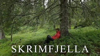 Skrimfjella -  Etter regn kommer sol