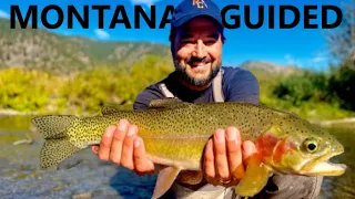 Trophy Brown & Cutthroat Trout in Montana | Fly Fishing Montana's Clark Fork River w/Top Local Guide
