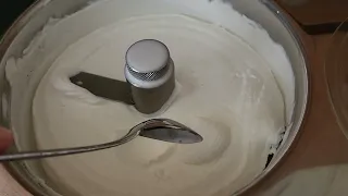 Lelo Musso Ice Cream Maker Test Batch