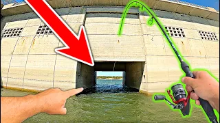 DRAG RIPPING Fish are STACKED against Giant Concrete Spillway!!
