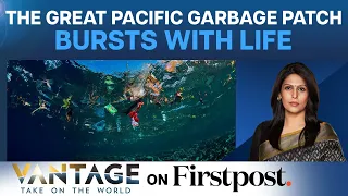 The Great Pacific Garbage Patch: How Trash Is Attracting Marine Species | Vantage with Palki Sharma