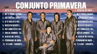 Conjunto Primavera ~ Grandes Sucessos, especial Anos 80s Grandes Sucessos