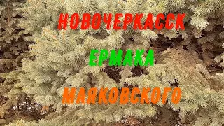 Новочеркасск-Ермака,Маяковского,Поезда