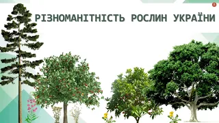 Різноманітність рослин України